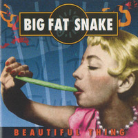 Big Fat Snake - Beautiful Thing