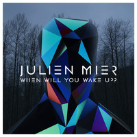 Julien Mier - When Will You Wake Up?