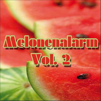 Various Artists - Melonenalarm, Vol. 2