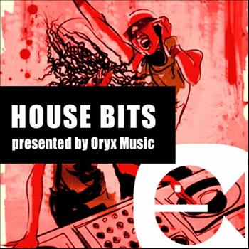 Various Artists - House Bits Volume 3