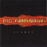 Big Fat Snake - Flames