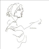 David Bromberg - David Bromberg