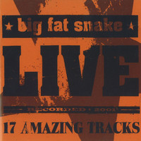 Big Fat Snake - Live (17 Amazing Tracks)