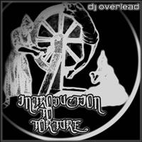 Dj Overlead - Introduction to Torture (Original Mix)