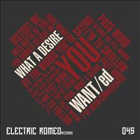 Want/ed - What a Desire