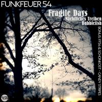 Funkfeuer 54 - Fragile Days
