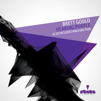 Brett Gould - Hearing Purple