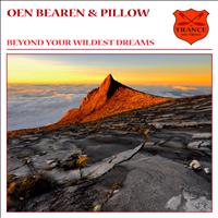 Oen Bearen and Pillow - Beyond Your Wildest Dreams