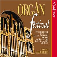 Arturo Sacchetti - Organ Festival