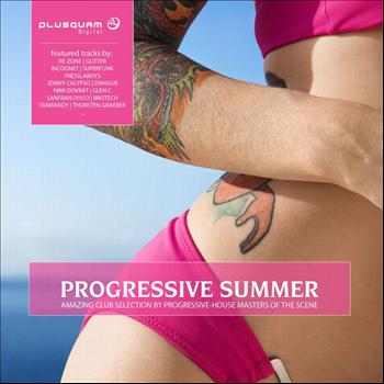 Various Artist - Progressive Summer Vol. 6