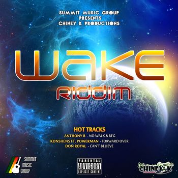 Various Artists - Wake Riddim