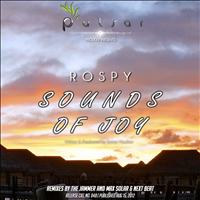 Rospy - Sounds Of Joy