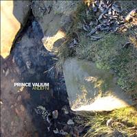 Prince Valium - Andefni