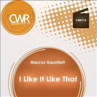 Marcus Gauntlett - I Like It Like That