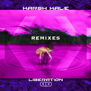 Karsh Kale - Liberation Remixes