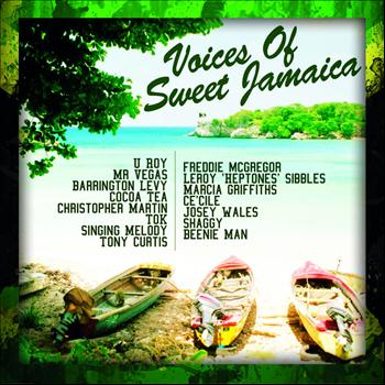 Mr. Vegas - The Voices Of Sweet Jamaica