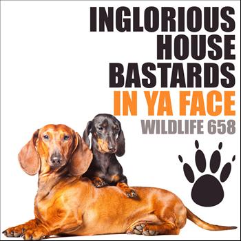Inglorious House Bastards - In Ya Face