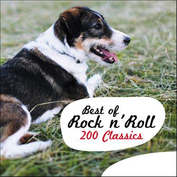 Various Artists - Best of Rock N' Roll - 200 Classics