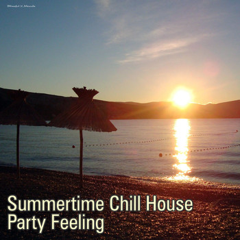 Various Artists - Summertime Chill House Party Feeling