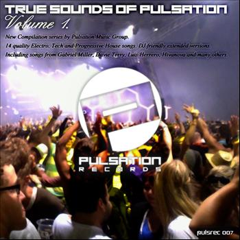 Various Artists - True Sounds of Pulsation Volume 1 (Explicit)