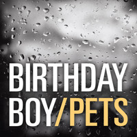 Pets - Birthday Boy