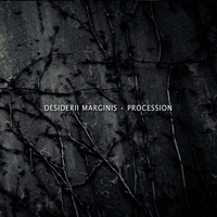 Desiderii Marginis - Procession