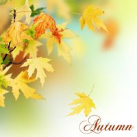 Liquid Blue - Autumn: Relax Your Mind with Relaxation Music
