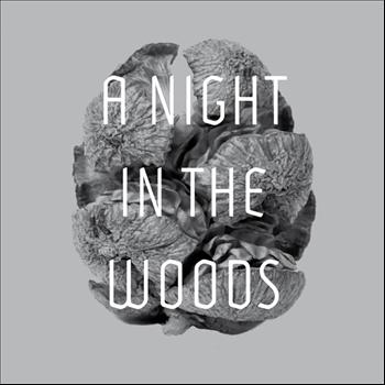 Tyler Friedman - A Night in the Woods