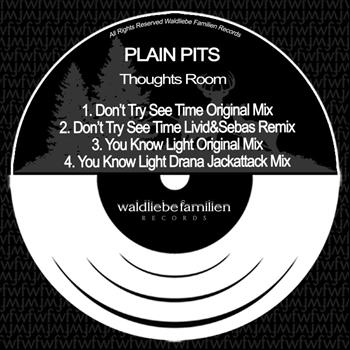 Plain Pits - Thoughts Room