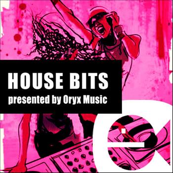 Various Artists - House Bits 3.2