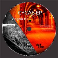 Angelo Jst - Cycas