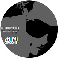 Cheeptek - Keep The Process