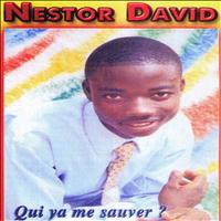 Nestor David - Qui va me sauver ?