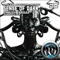 Chriss Vargas - Sense of Dark (Domination Mix)