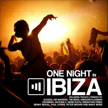 Various Artists - One Night in Ibiza 2012