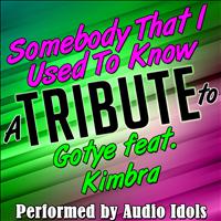 Audio Idols - Somebody That I Used to Know (A Tribute to Gotye Feat. Kimbra) - Single
