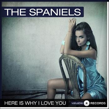 The Spaniels - Here Is Why I Love You