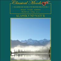 Wiener Opernorchester, Carl Michalski - Classical Moods: Klassik und Natur