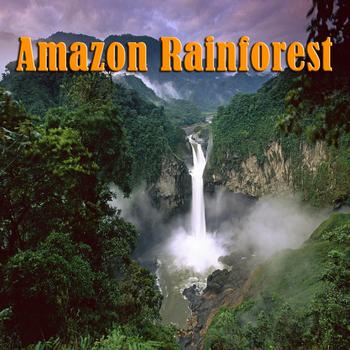 Natural Sounds - Amazon Rainforest