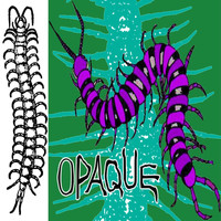 Opaque - Secret Domain Of Giant Centipede