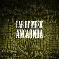 Lab Of Music - Ancaonda (Original Mix)