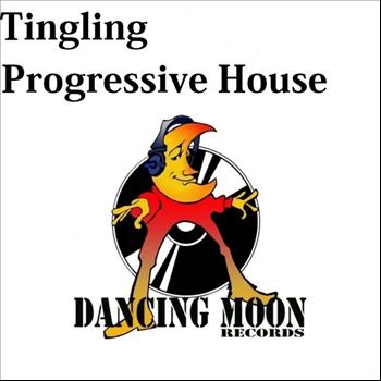 Various Artists - Tingling Progressive House
