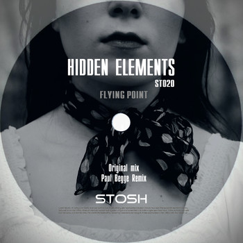 Flying Point - Hidden Elements