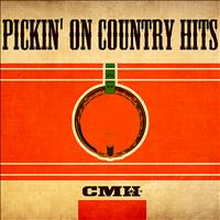 PIckin' On Series & The Sidekicks - Pickin' On Country Hits