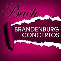 Berlin Chamber Orchestra & Peter Wohlert - Brandenburg Concertos