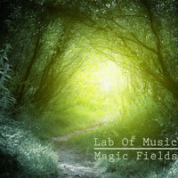 Lab Of Music - Magic Fields