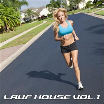 Various Artists - Lauf House: Volume 1