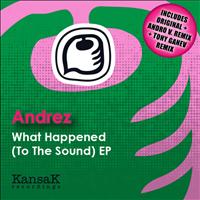 Andrez - Andrez - What Happened (To The Sound) EP