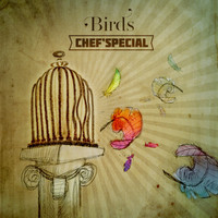 Chef'Special - Birds