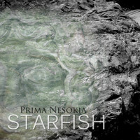 Starfish - Prima Nesokia